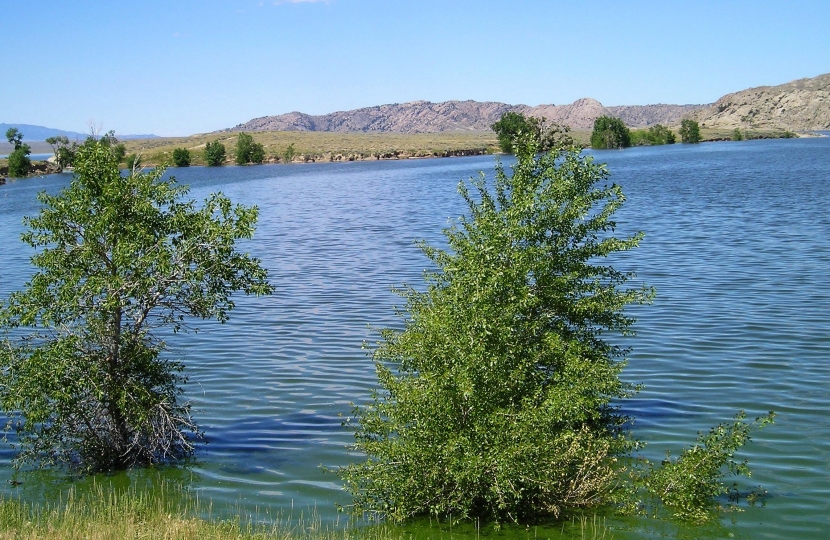 reservoir