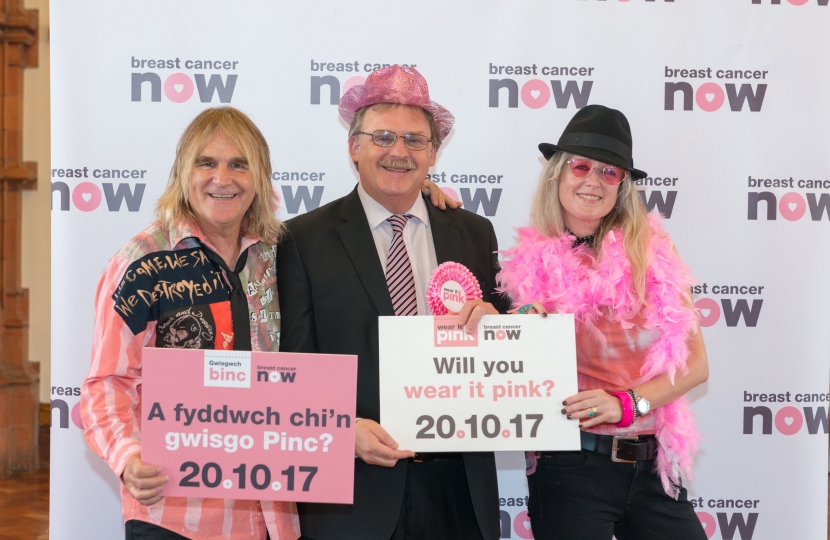 wear it pink