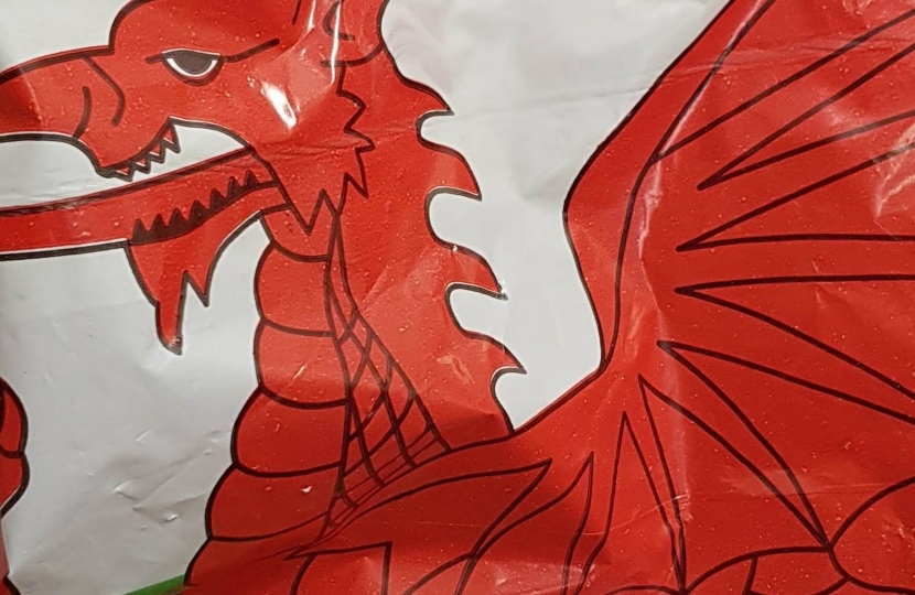 carrier bag