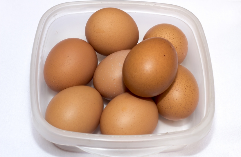 eggs
