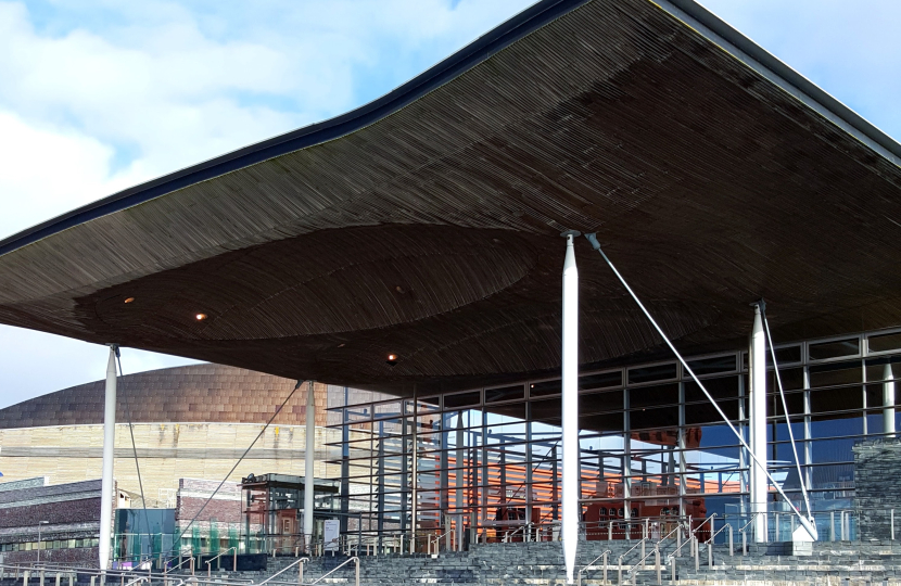 senedd