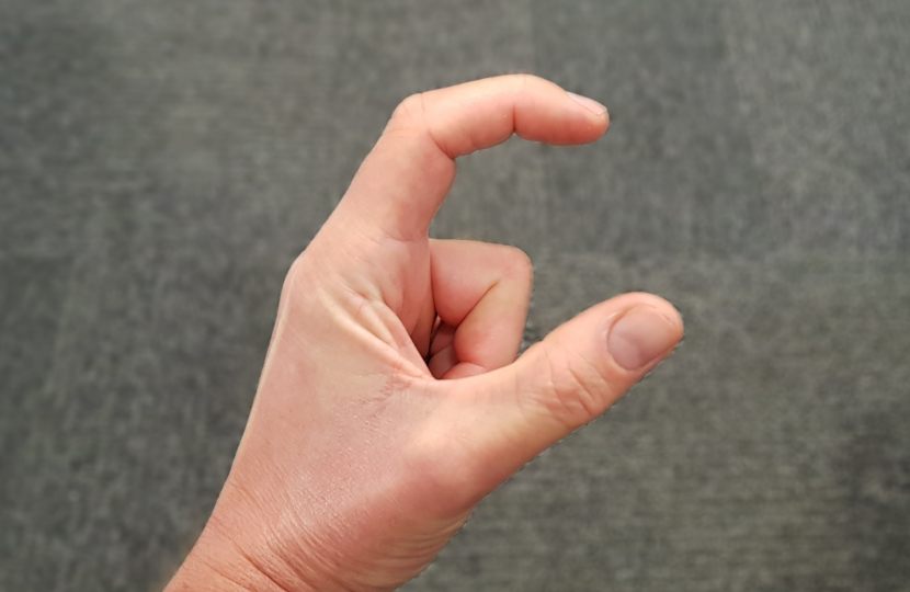 bsl
