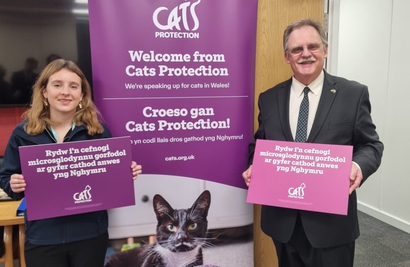 cats protection