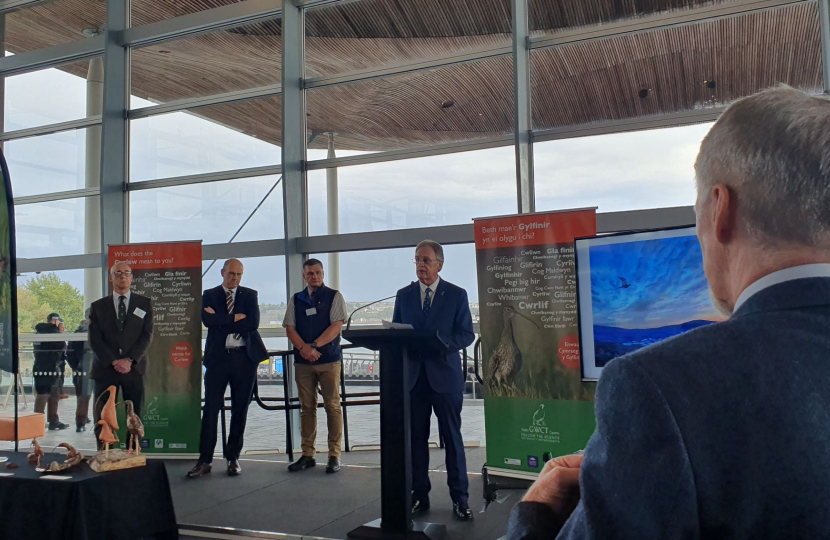 Cabinet Secretary Questioned Over Conservation Intervention To Aid Curlew Recovery