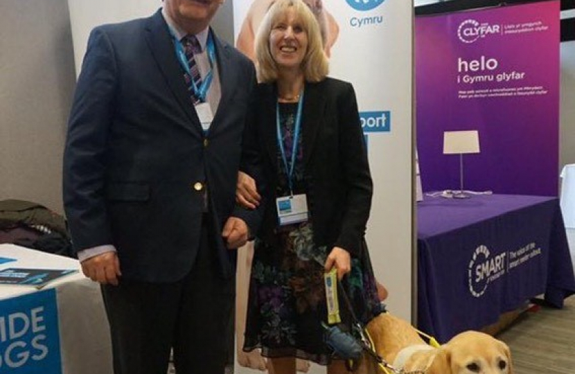 guide dogs