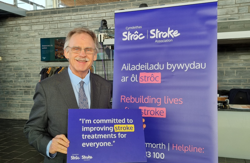 Mark Isherwood MS: Spare A Thought for Stroke Survivors This Christmas  