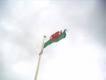 flag