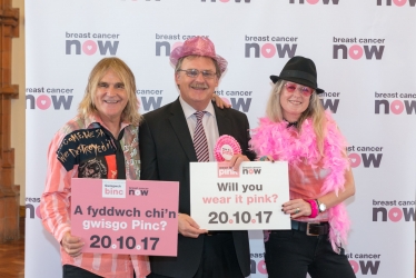 wear it pink