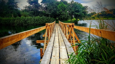 pond