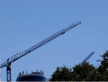 crane