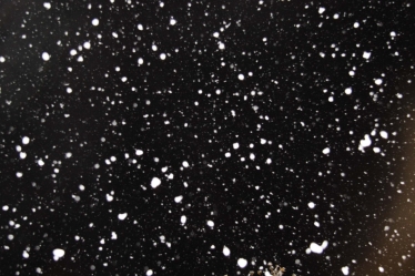 snow
