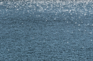 waves