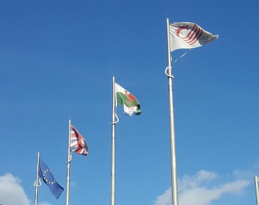 flags