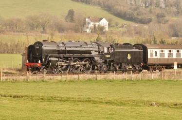 train