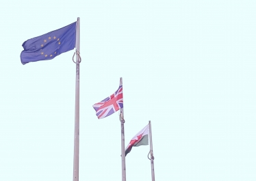 flags