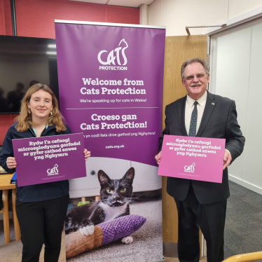 cats protection