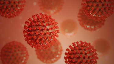 Concern that call for Four-Nations approach to UK Pandemic Exercise is not being adhered to 