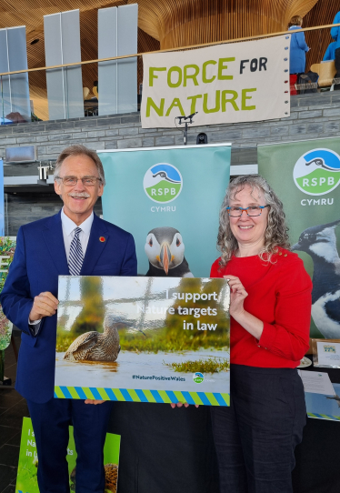 Call for Protection, Management and Restoration of Threatened Curlew to form part of the Sustainable Farming Scheme