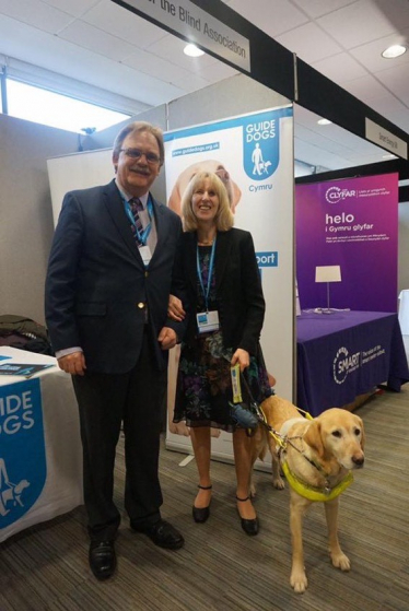 guide dogs